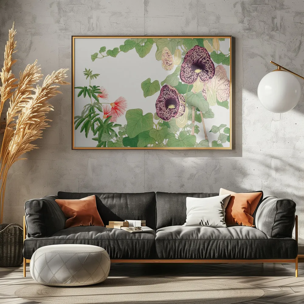 Albizia & Aristolochia Flower No.2 - Stretched Canvas, Poster or Fine Art Print