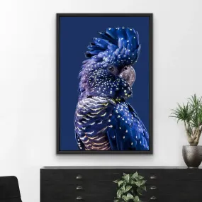 Black Cockatoo on Navy - Black Cockatoo Wall Art Print Stretched Canvas Wall Art