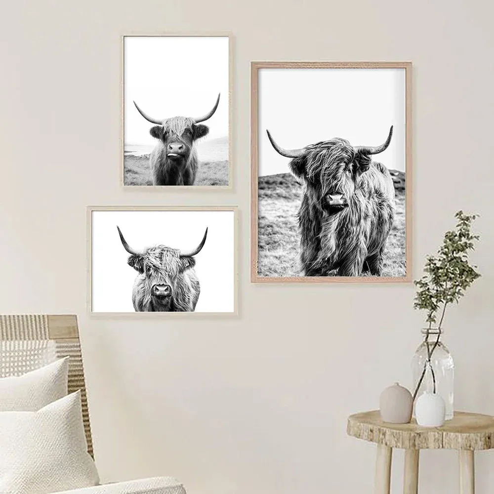 Highland Cattle Black White Minimalist Wall Art Fine Art Canvas Prints Posters Pictures For Living Room Dining Room Nordic Home Decor