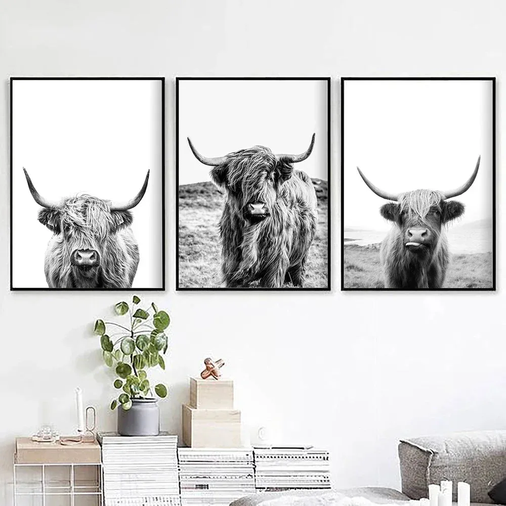 Highland Cattle Black White Minimalist Wall Art Fine Art Canvas Prints Posters Pictures For Living Room Dining Room Nordic Home Decor