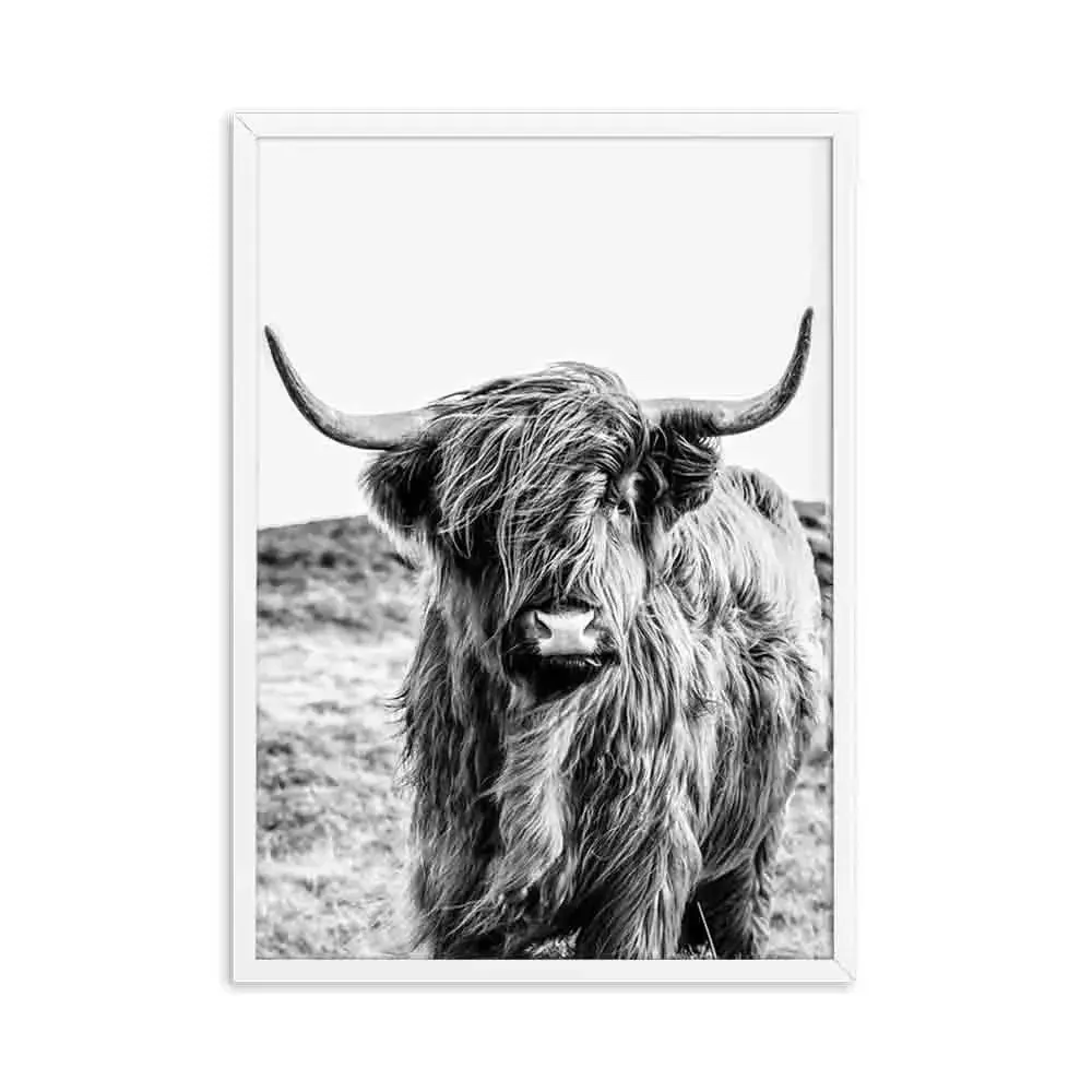 Highland Cattle Black White Minimalist Wall Art Fine Art Canvas Prints Posters Pictures For Living Room Dining Room Nordic Home Decor