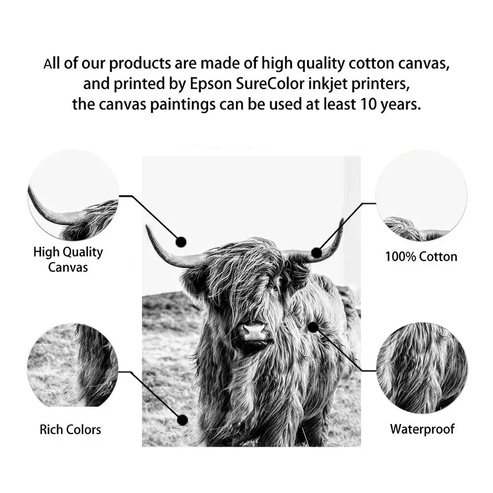 Highland Cattle Black White Minimalist Wall Art Fine Art Canvas Prints Posters Pictures For Living Room Dining Room Nordic Home Decor