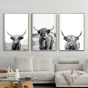 Highland Cattle Black White Minimalist Wall Art Fine Art Canvas Prints Posters Pictures For Living Room Dining Room Nordic Home Decor